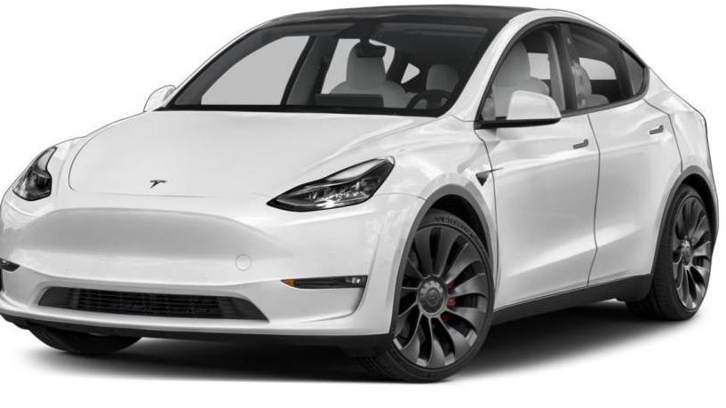 TESLA MODEL Y 2020 5YJYGDEE4LF059164 image